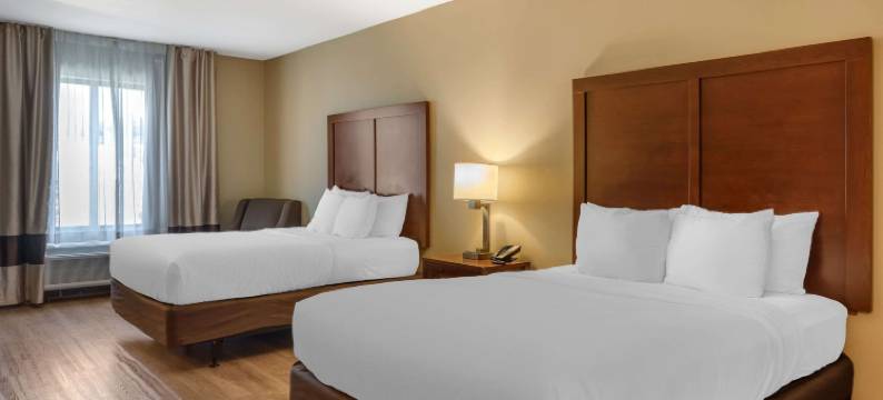 克罗斯普雷克斯乡村舒适套房酒店(Comfort Inn & Suites at CrossPlex Village)图片