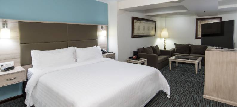 Holiday Inn & Suites 墨西哥城索娜罗莎(Holiday Inn & Suites MEXICO ZONA REFORMA by IHG)图片