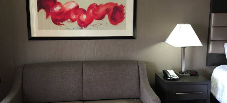 明布雷斯山谷贝斯特韦斯特酒店(Best Western Deming Southwest Inn)图片