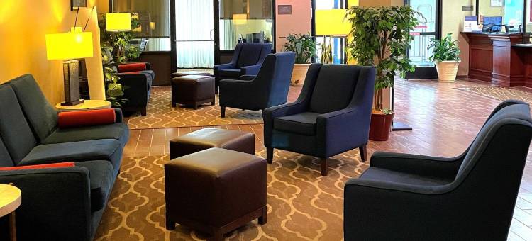 舒适酒店及套房罗杰斯维尔(Comfort Inn & Suites)图片