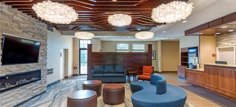 大学舒适酒店(Comfort Inn University)图片