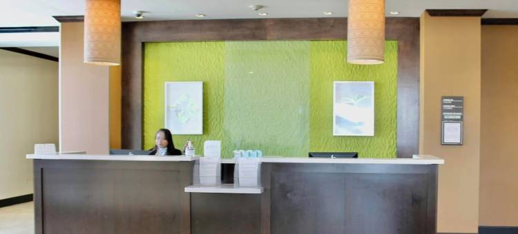 埃德蒙顿国际机场希尔顿花园酒店(Hilton Garden Inn Edmonton International Airport)图片