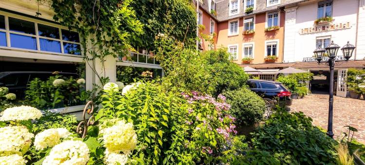 里昂多尔餐厅酒店(Hotel le Lion d'Or et Restaurant la Table du Lion)图片