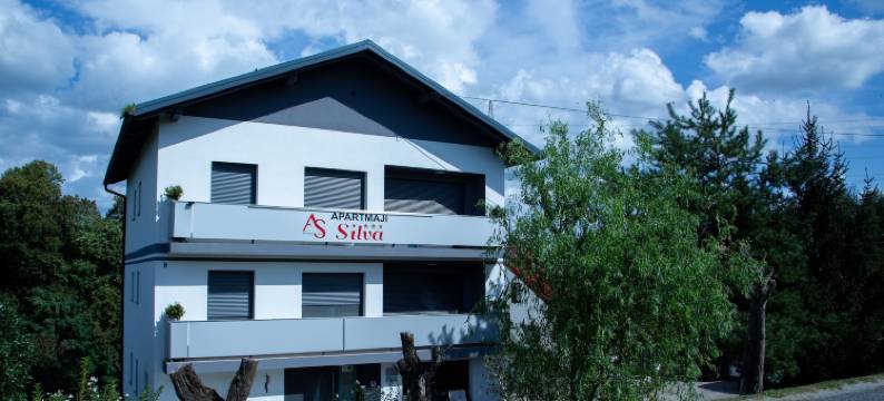 席尔瓦索托平房公寓酒店(Apartments Silva)图片