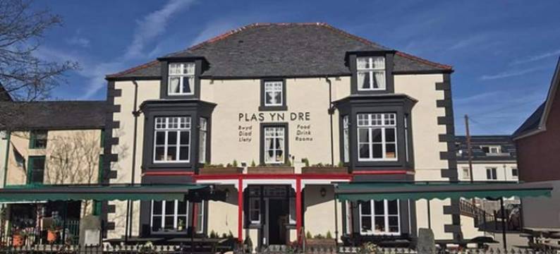 普拉斯因德雷酒店(Plas Yn Dre)图片