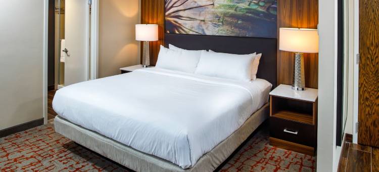 阿普尔顿希尔顿逸林酒店(DoubleTree by Hilton Appleton)图片