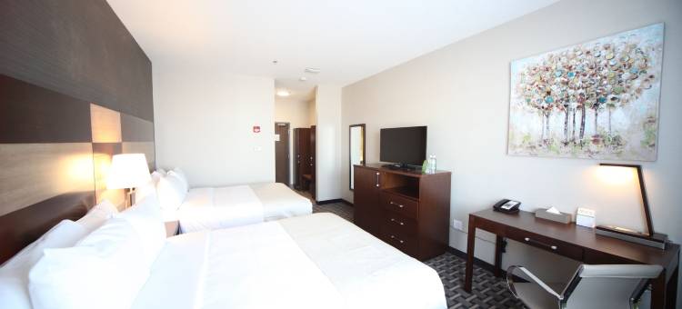 埃德蒙顿机场温德姆花园酒店(Wyndham Garden Edmonton Airport)图片