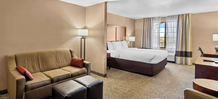 本森卡切内岩洞舒适酒店(Comfort Inn Benson Near Kartchner Caverns)图片