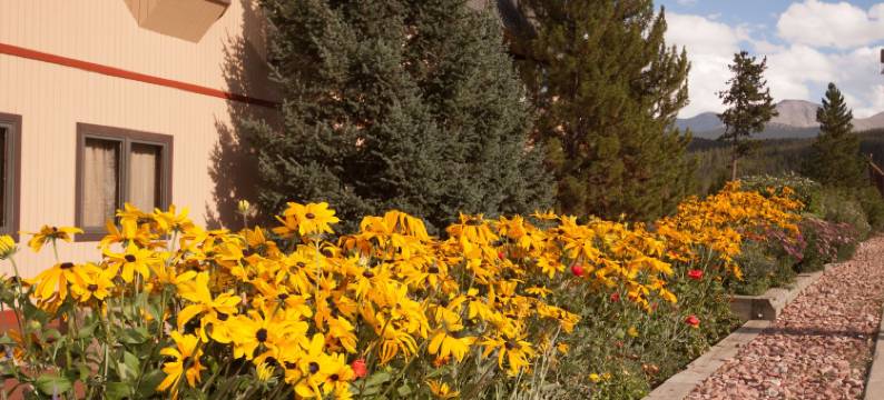 山谷高地汽车旅馆 - 靠近冬季公园游客中心(Valley Hi Hotel)图片