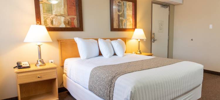 BCM旅馆酒店 - 劳埃德明斯特(Bcminns - Lloydminster)图片