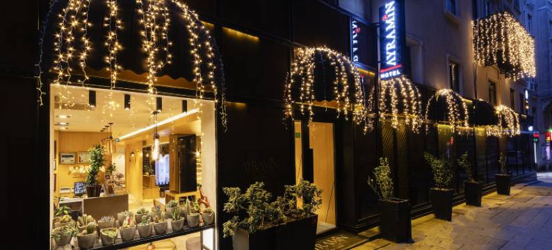 阿亚拉明豪华酒店(Ayramin Hotel Taksim)图片