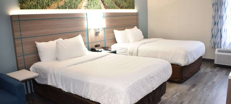 维达利亚 - 西里昂克拉丽奥酒店(Clarion Pointe Vidalia - Lyons West)图片