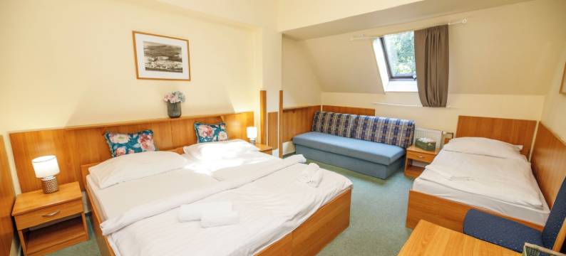 哈拉迟沃帕克酒店(Parkhotel Harrachov)图片