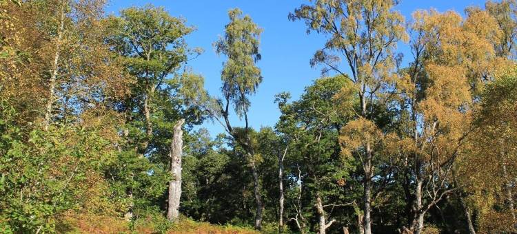 替林德里住宿加早餐旅馆(Tirindrish House B&B)图片