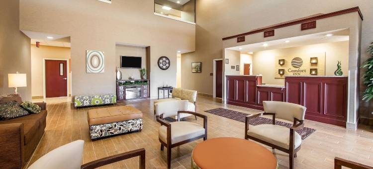 舒适酒店-莱星顿南(Comfort Inn Lexington South)图片