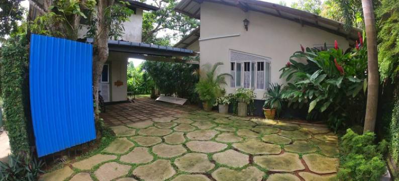 安妮别墅(Anne's Maisonnette)图片