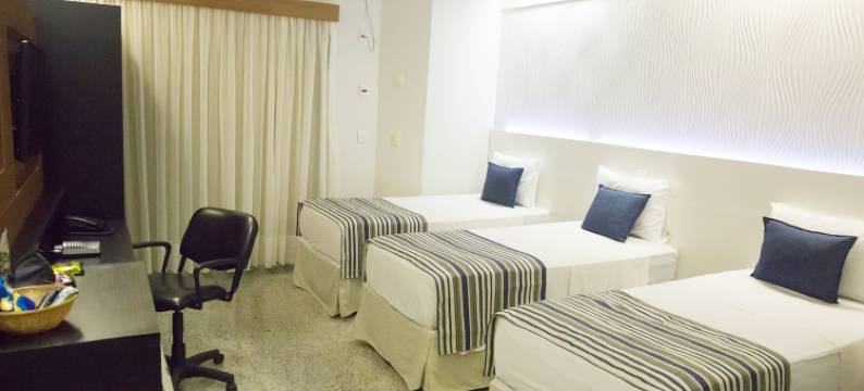 瓦尔吉尼亚菲尼克斯酒店(Fênix Hotel Varginha)图片