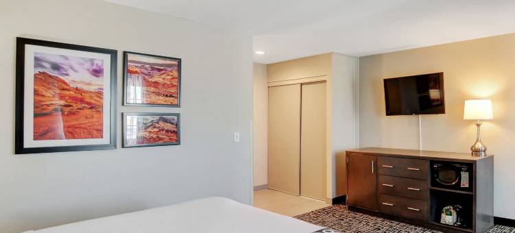 拉斯维加斯内利斯拉昆塔温德姆酒店(La Quinta Inn & Suites by Wyndham Las Vegas Nellis)图片