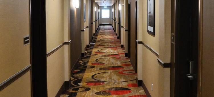 金德斯利贝斯特韦斯特优质酒店(Best Western Plus Kindersley Hotel)图片