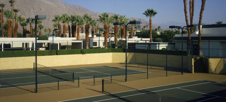 棕榈泉沙漠岛(Desert Isle of Palm Springs)图片