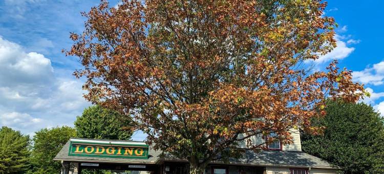兰卡斯特乡村旅馆(The Country Inn of Lancaster)图片