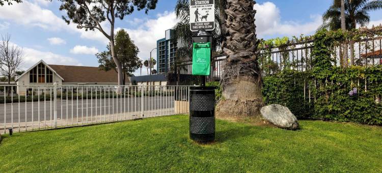 圣塔安那6号汽车旅馆(Motel 6 Santa Ana, CA)图片