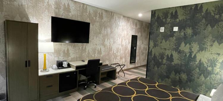 布朗克斯近植物园温德姆速8酒店(Super 8 by Wyndham Bronx Near Botanical Garden)图片