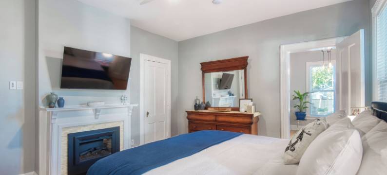 哈德逊导航者(Hudson Navigator)图片