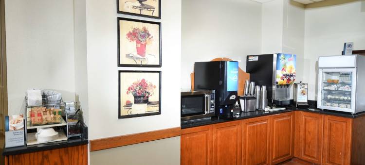 桑达斯基贝斯特韦斯特优质套房酒店(Best Western Plus Sandusky Hotel  Suites)图片