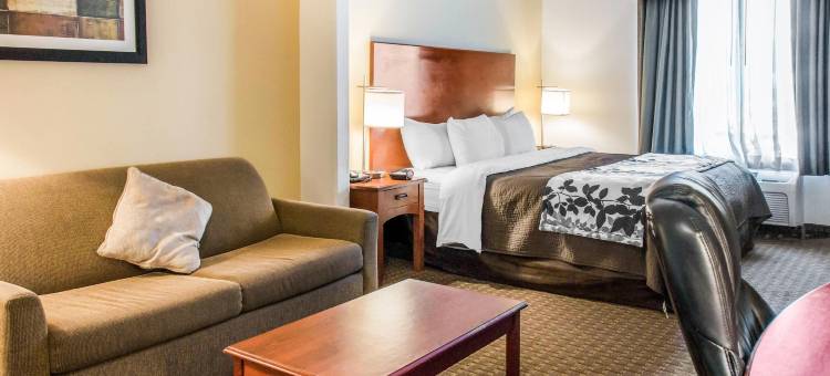 舒眠套房酒店(Sleep Inn & Suites)图片