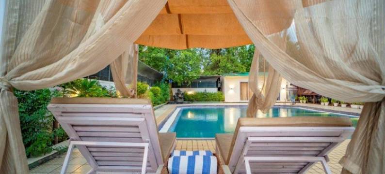 Golden Tulip Udaipur图片