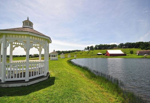 Midnight Dip Hotel Overview