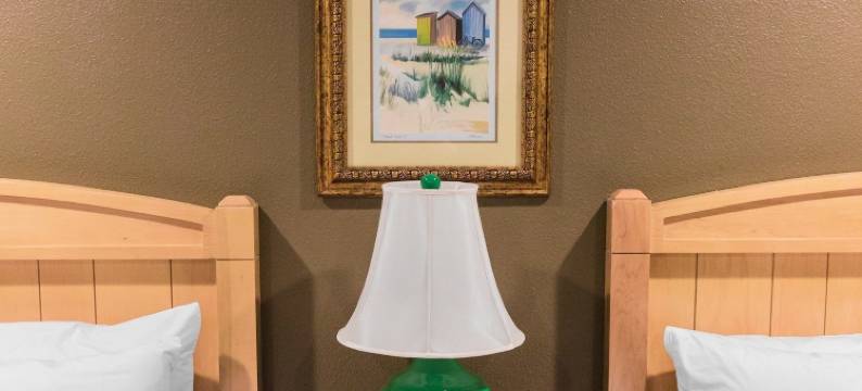 盖托尔巢穴汽车旅馆(The Gator Den)图片