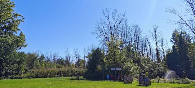 圣奥布杰克蒂弗酒店(Objectif Santé)图片