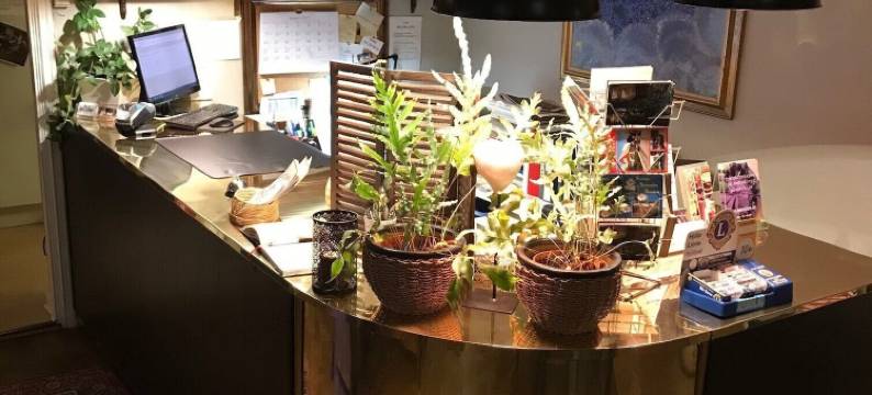 里尔顿酒店(Hotel Lilton)图片