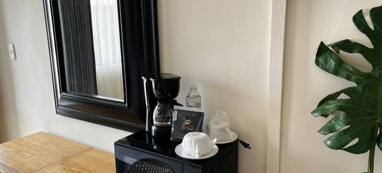 Hotel Los Robles = 洛斯罗布莱斯酒店(Hotel Los Robles)图片