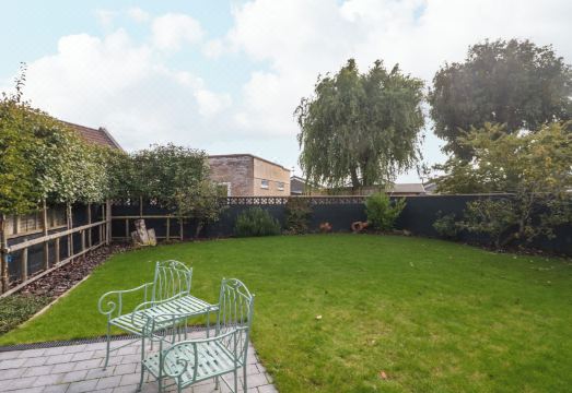 Minime Hotel Overview