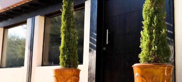 马斯沙瓦吉昂酒店(Hôtel Mas le Sauvageon)图片