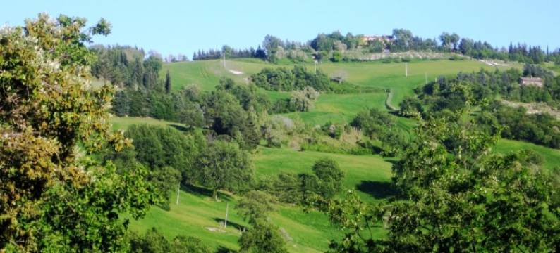 美利迪亚纳酒店(Hotel la Meridiana)图片