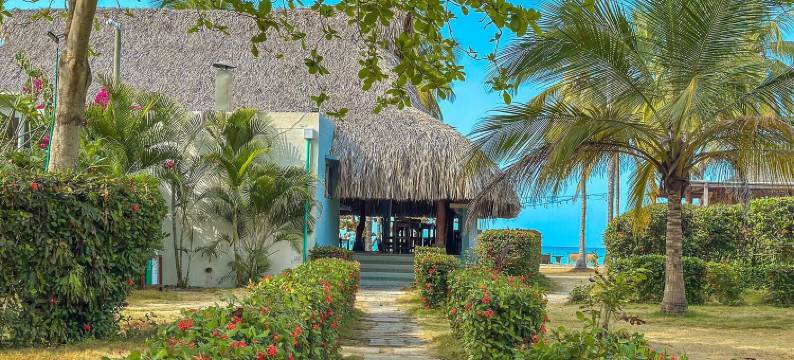 胡库海滩旅舍帕洛米诺(Huku Beach Hostel Palomino)图片