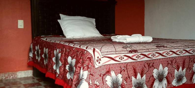 科拉斯克考乐尼奥酒店(Hotel Clasico Colonial)图片