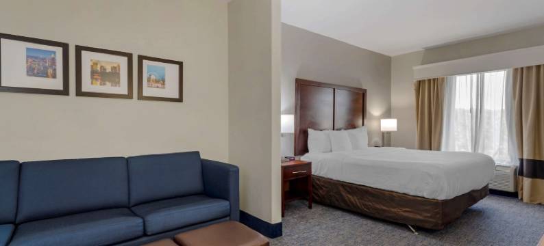 亚特兰大南斯托克布里奇舒适套房酒店(Comfort Suites Stockbridge Atlanta South)图片