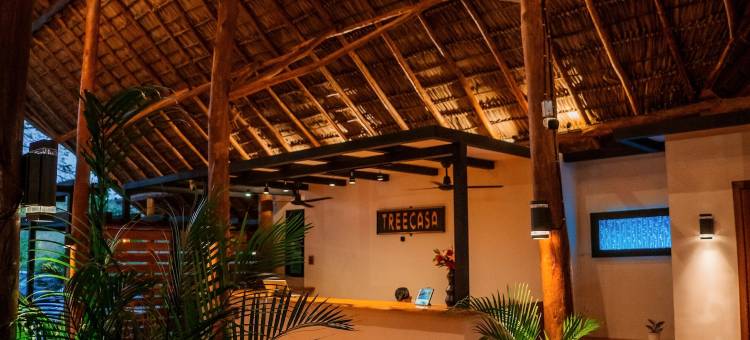 树屋酒店和度假村(TreeCasa Hotel & Resort Nicaragua)图片