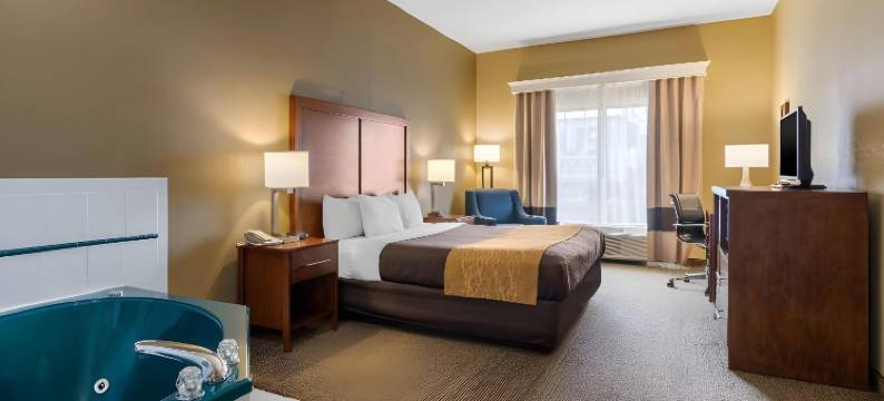 桃树角落舒适套房酒店(Comfort Inn & Suites Peachtree Corners)图片