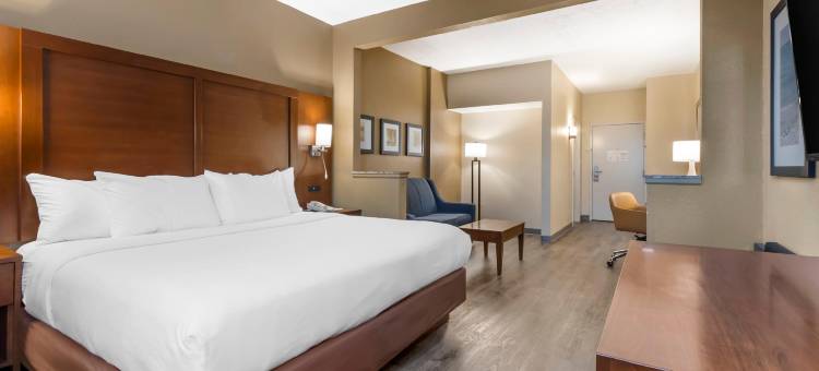 舒适套房酒店-大学(Comfort Suites at the University)图片