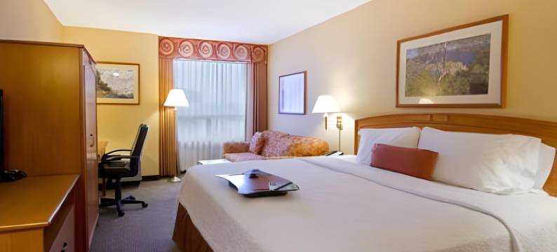 希尔顿欢朋酒店-温哥华机场/列治文(Hampton Inn by Hilton Vancouver-Airport/Richmond)图片