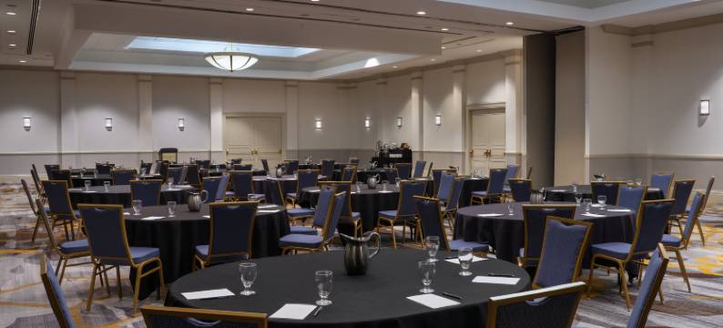 阿普尔顿纸谷希尔顿酒店(Hilton Appleton Paper Valley)图片