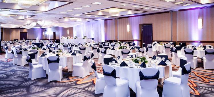 灯光芝加哥逸林酒店(DoubleTree by Hilton Hotel Chicago - Alsip)图片