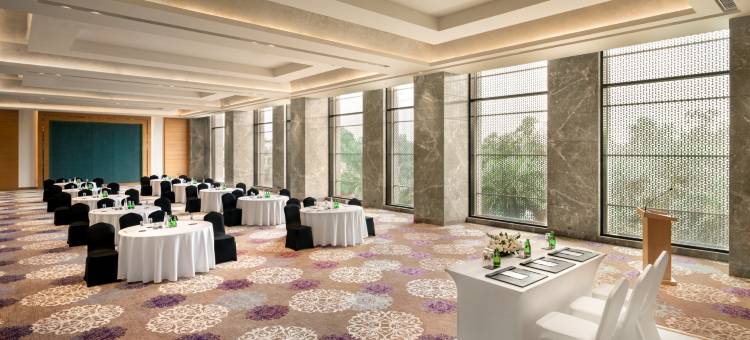 德里 MG 路 丽笙酒店(Radisson Hotel Delhi MG Road)图片