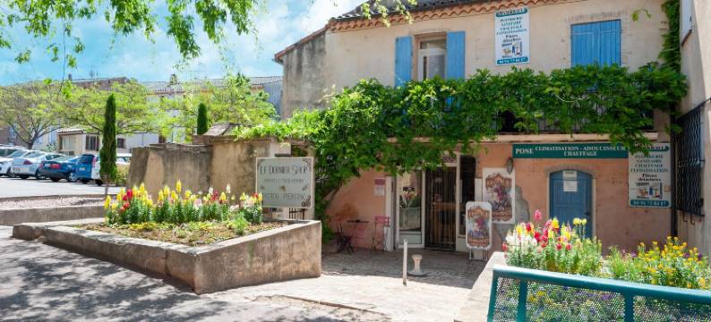 Villa in Vidauban near Vineyards & Beaches图片